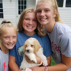 Meet your Posher, Mark